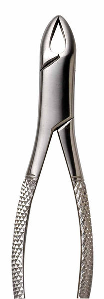 Stainless Steel Forceps Serrated 2-Pack Surgical Dental Extraction Forceps #151S & 150S - O.R. Grade Stainless Steel - Serrated Tips Stainless Steel Dental Forceps Pair - Foto 8