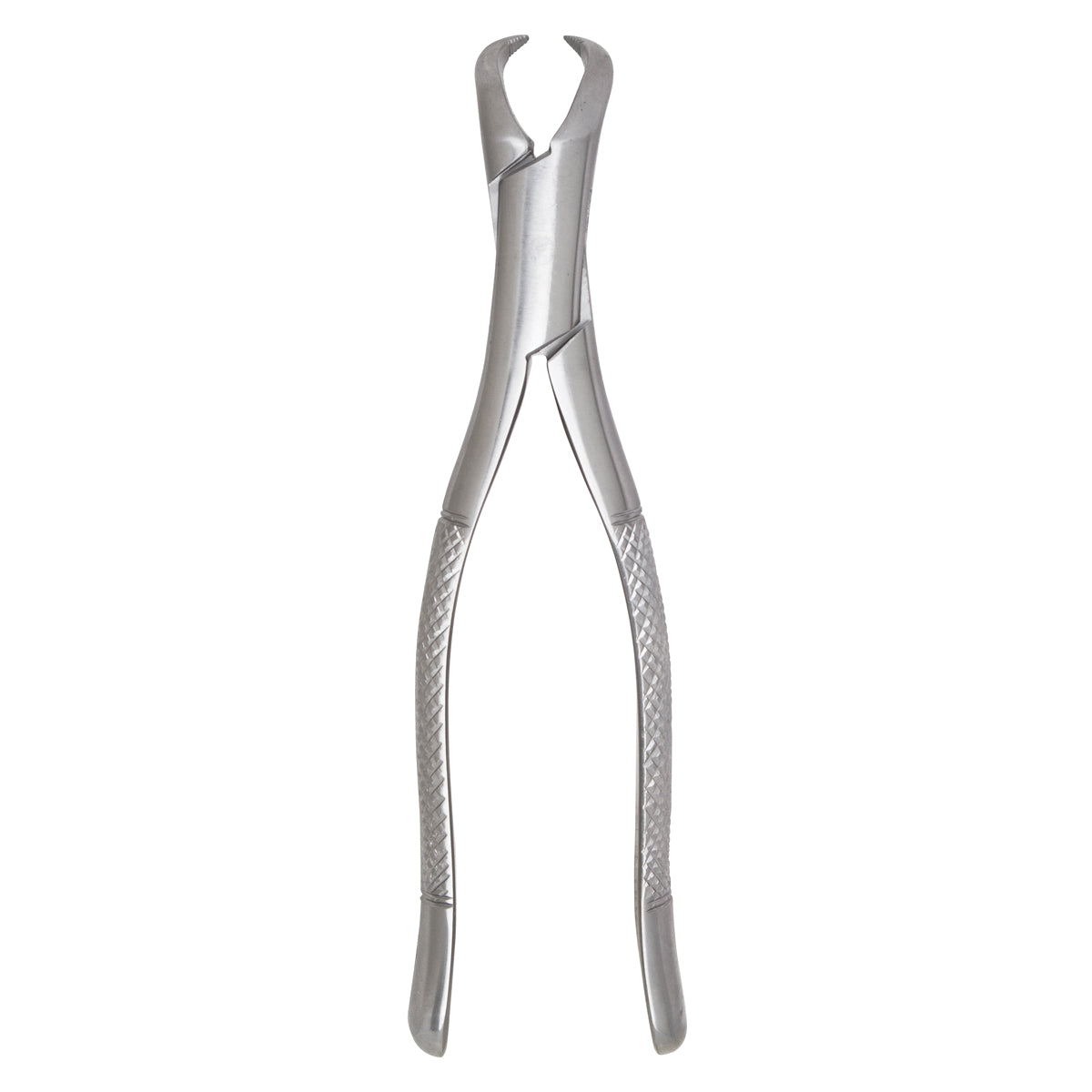 Extracting Forceps #23 Lower Cowhorn