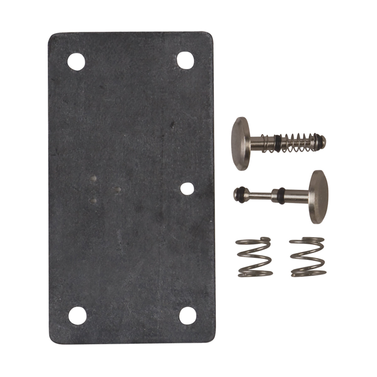 Coolant Block Service Kit (Dentech)