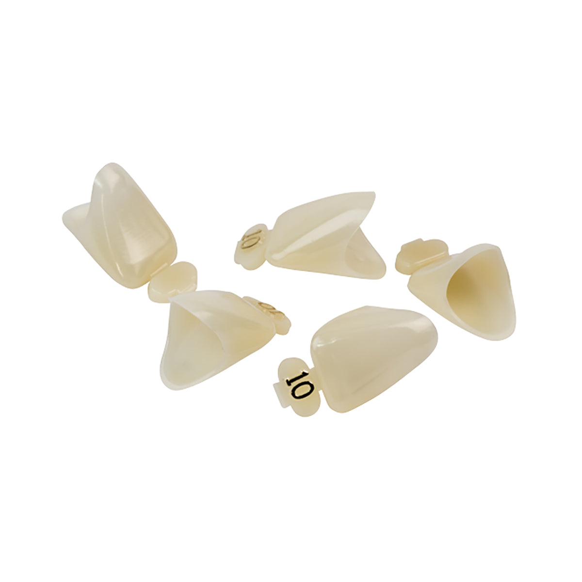 Dexiter Polycarbonate Temporary Crowns (Upper Right Central)
