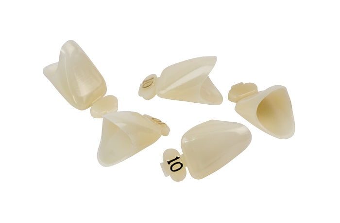 Dexiter Polycarbonate Temporary Crowns (Upper Right Central)