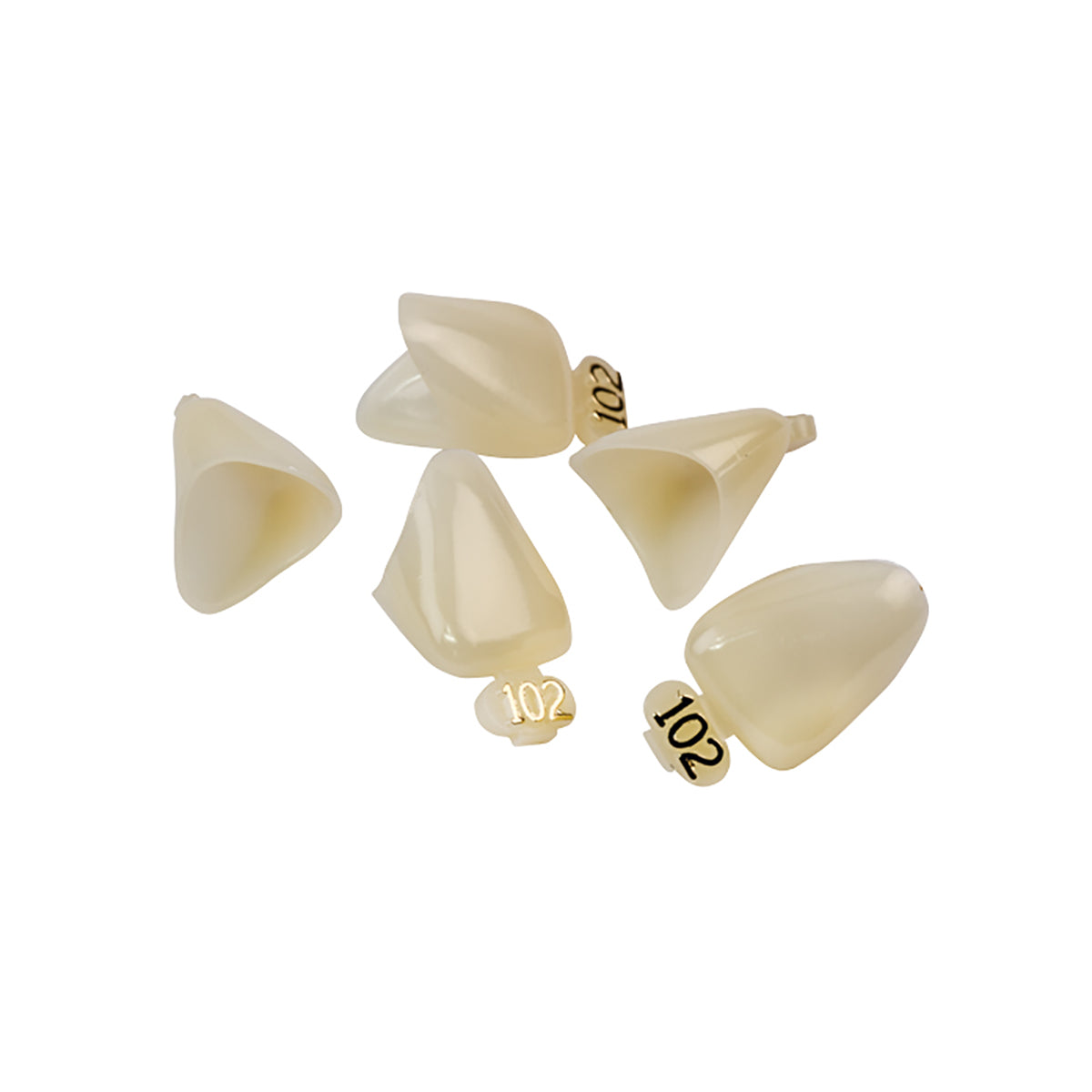 Dexiter Polycarbonate Temporary Crowns (Upper Left Central)