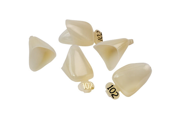 Dexiter Polycarbonate Temporary Crowns (Upper Left Central)