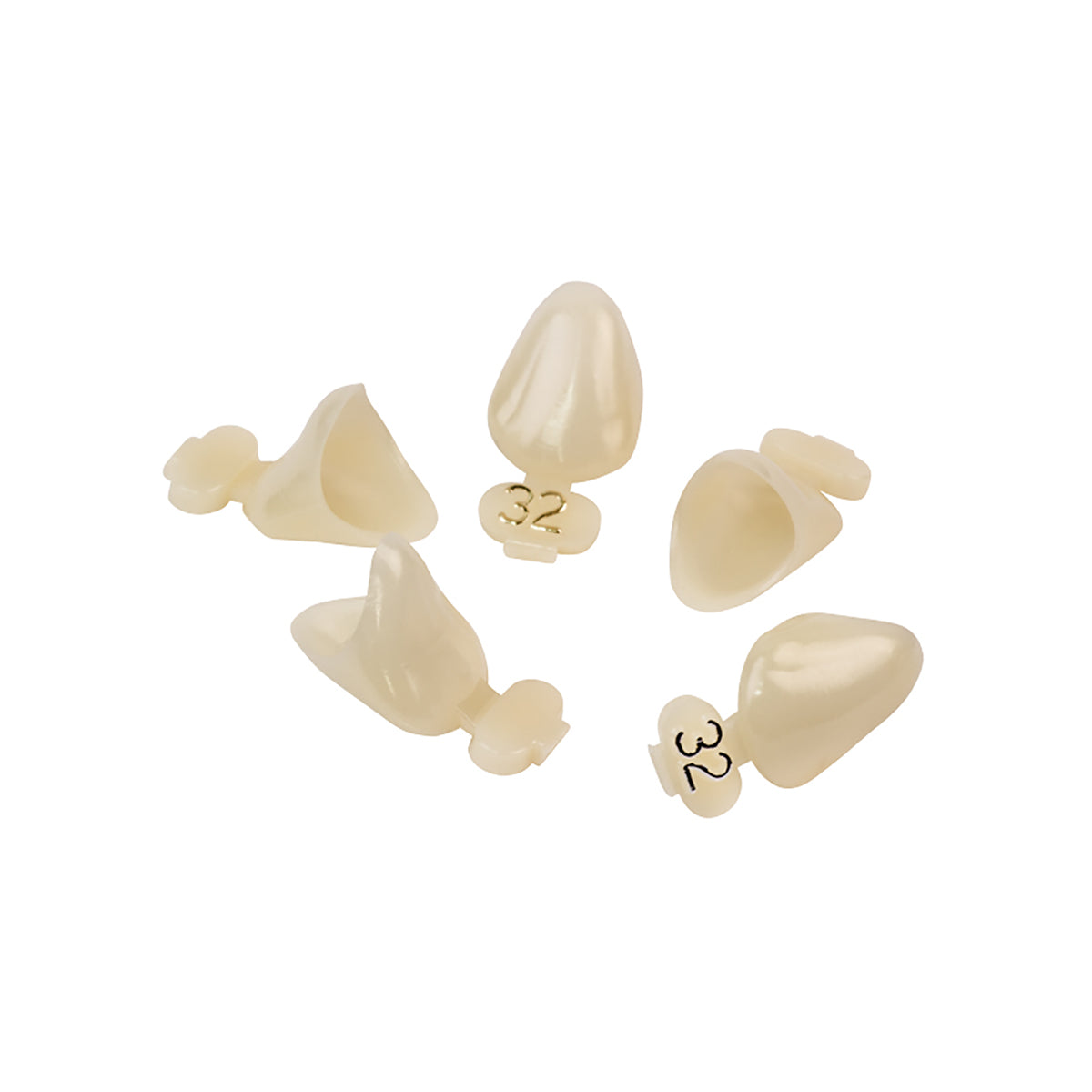 Dexiter Polycarbonate Temporary Crowns (Right Cuspid)