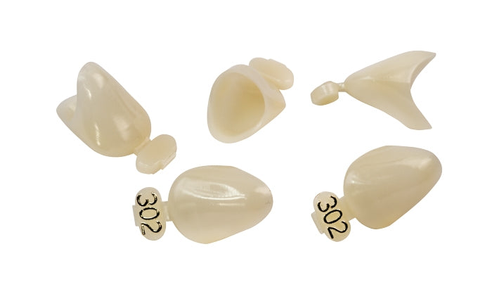 Dexiter Polycarbonate Temporary Crowns (Left Cuspid)