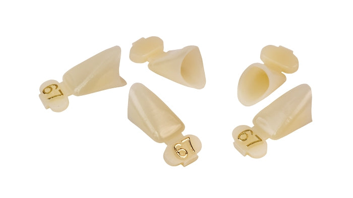 Dexiter Polycarbonate Temporary Crowns (Lower Anterior Short)