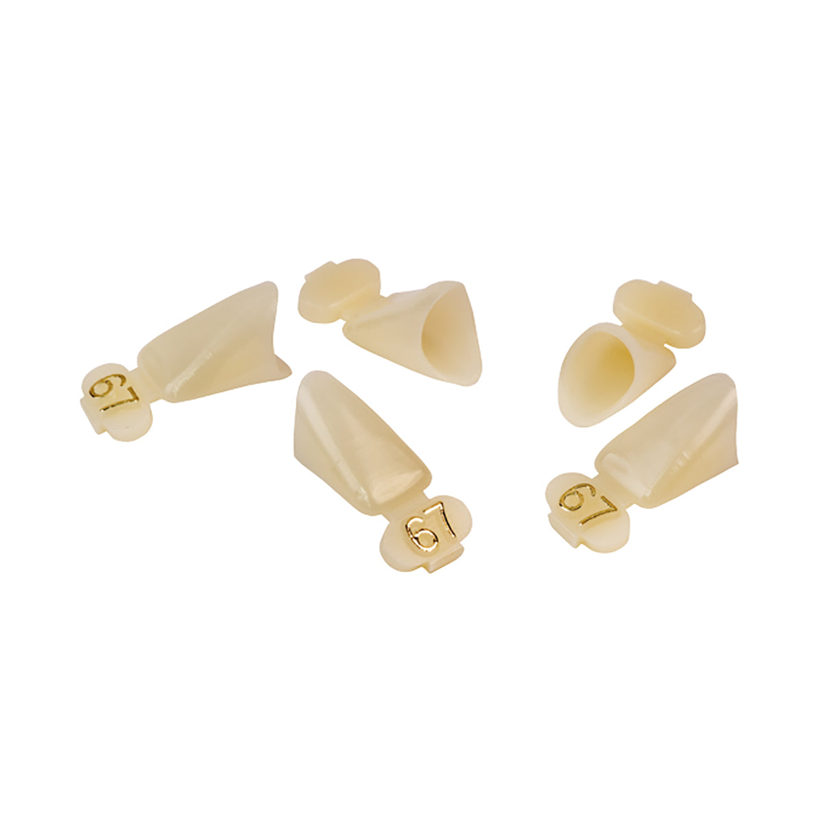 Dexiter Polycarbonate Temporary Crowns (Lower Anterior Short)