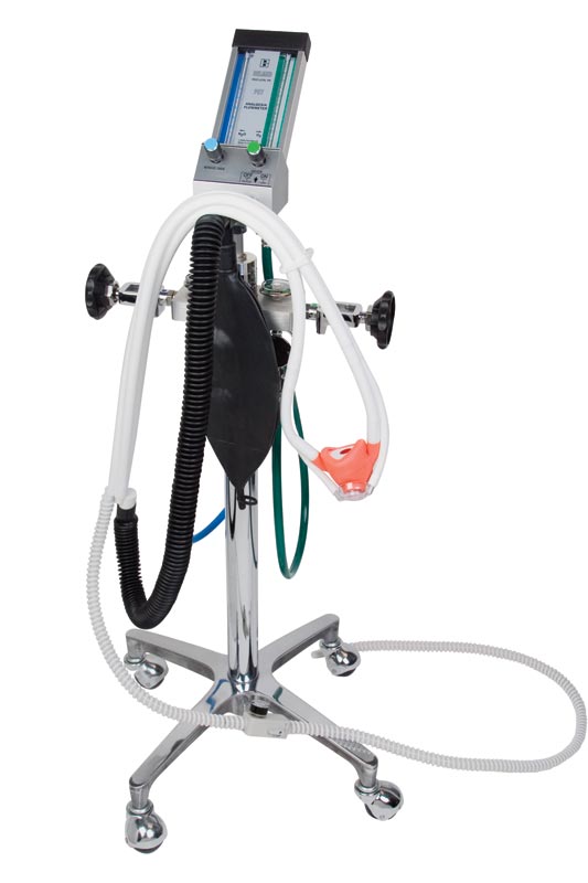 Belmed Nitrous System - 4 Cylinder