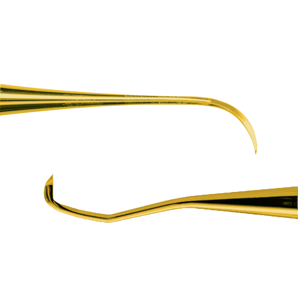 American Eagle Scaler Eagle Talon American Dental Accessories, Inc.