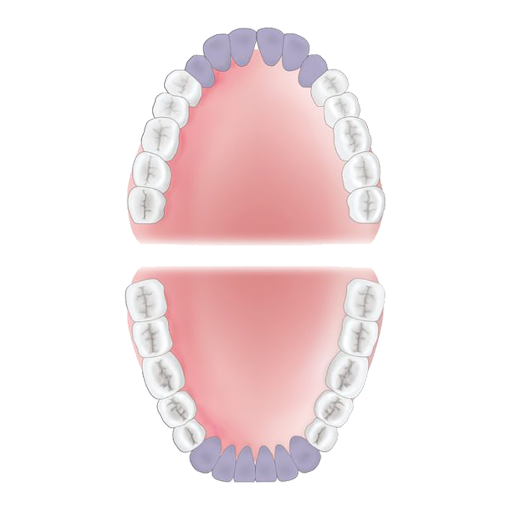 Anterior Mouth Area for Gracey 1-2