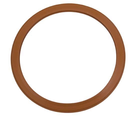 Door Gasket (Pelton & Crane)