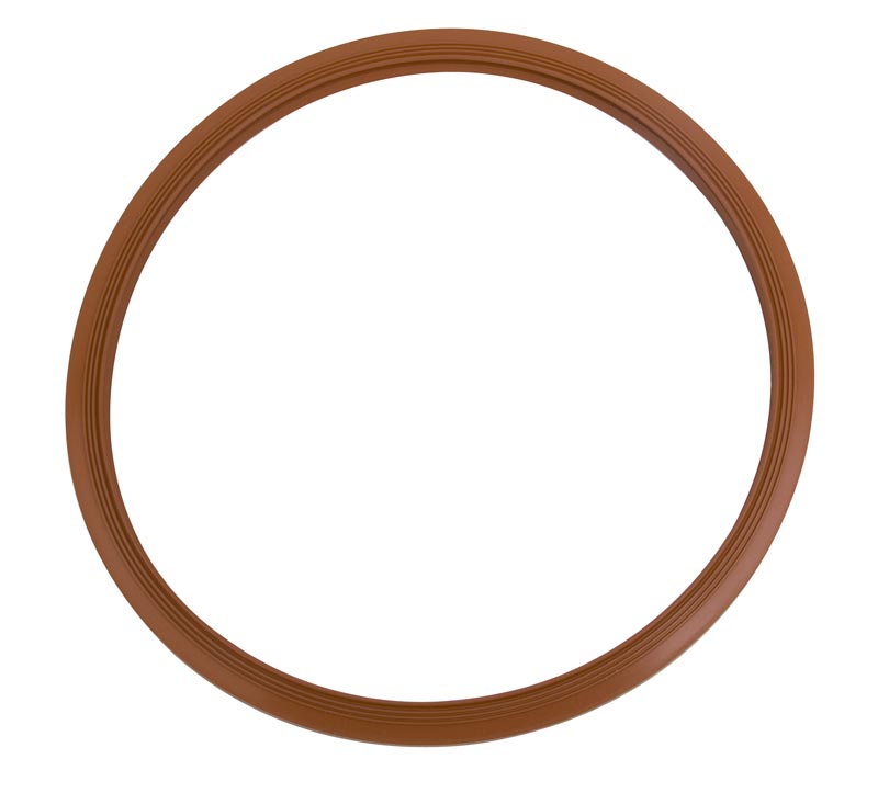 Door Gasket (Pelton & Crane)