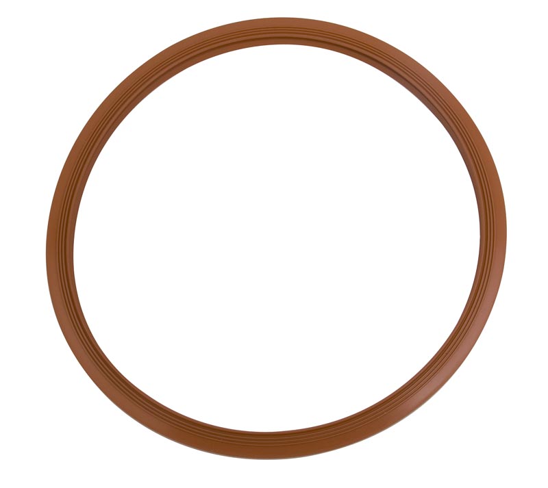 Door Gasket (Pelton & Crane)