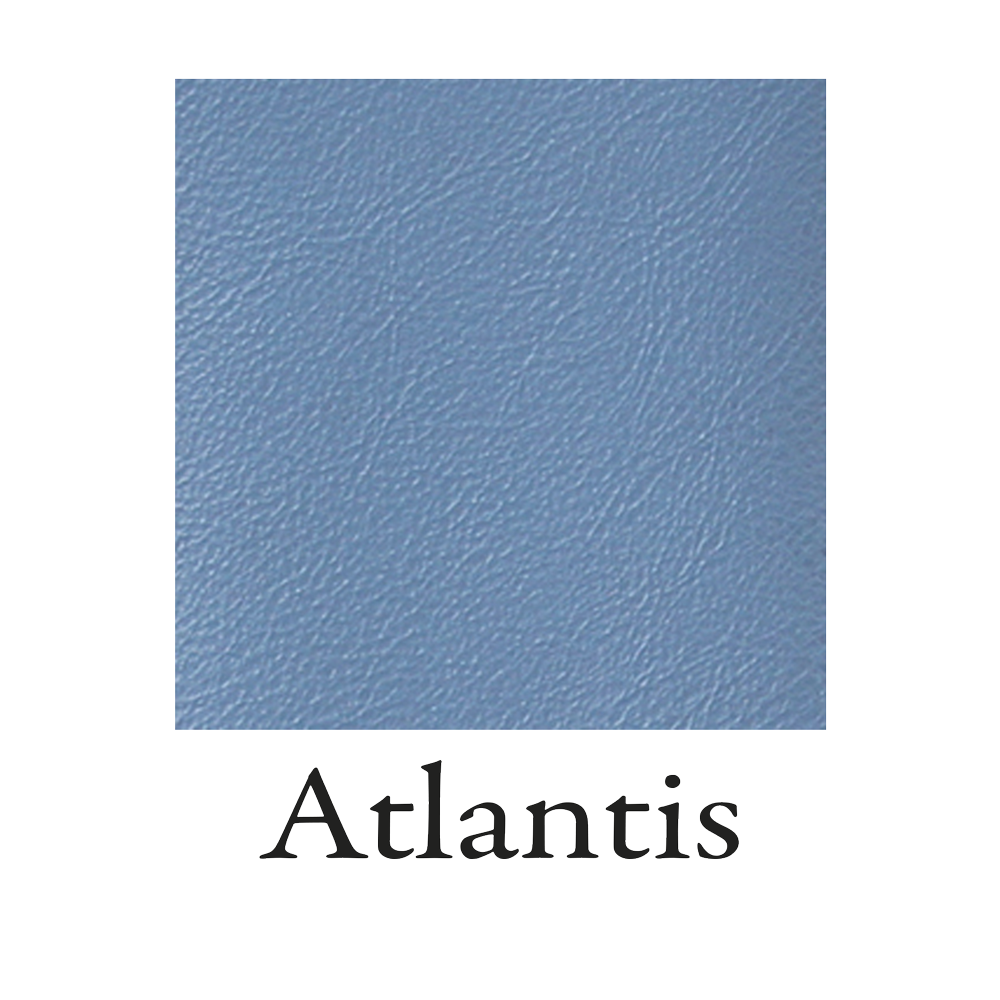 Atlantis Swatch