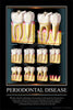Periodontal Disease Poster