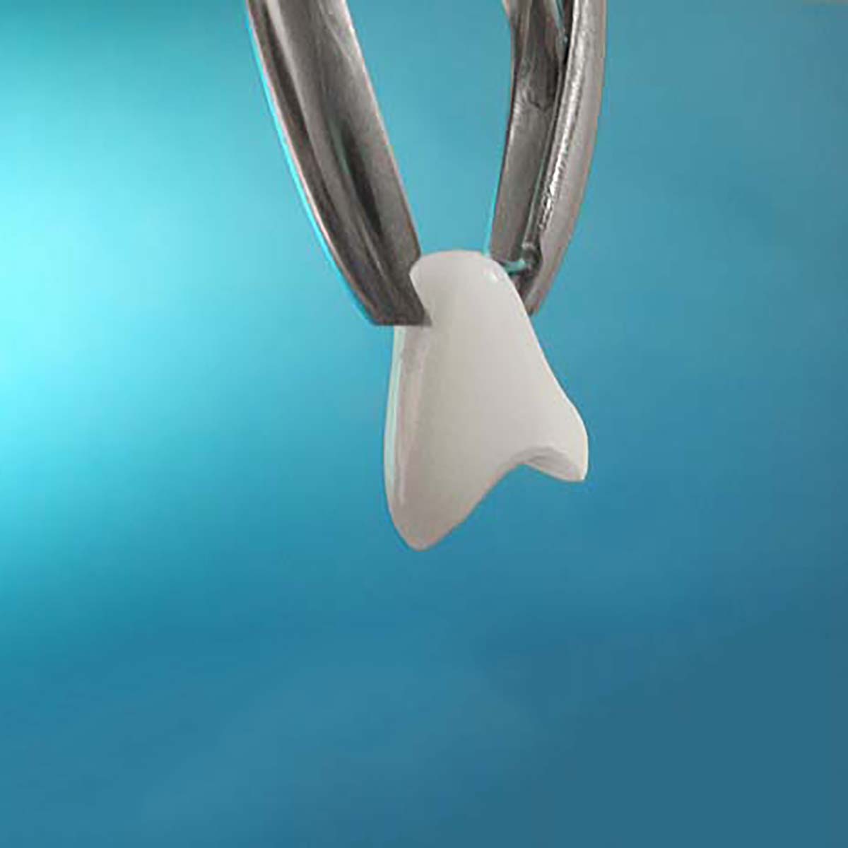 Tempoff Universal Crown Remover