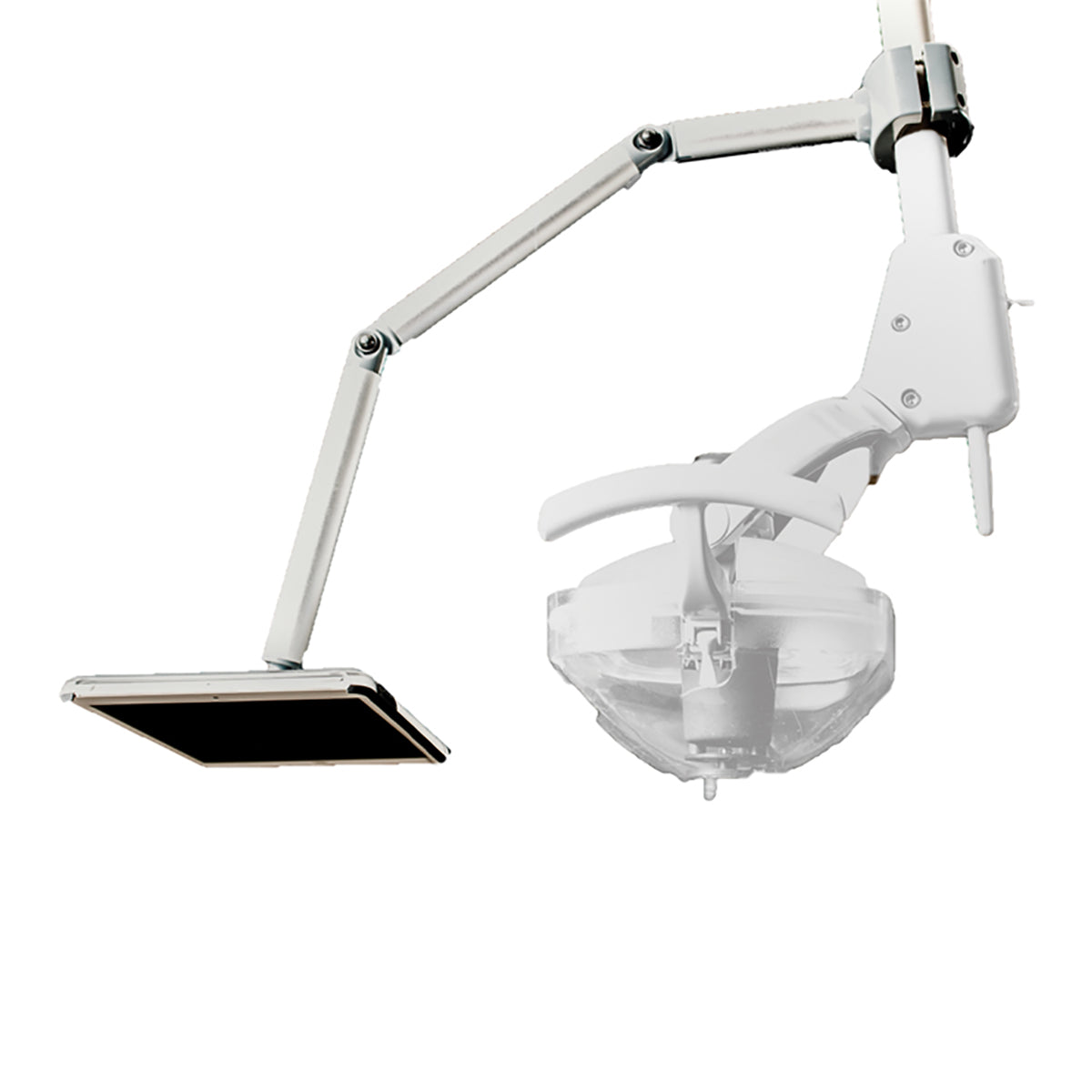 Molar Media Mount